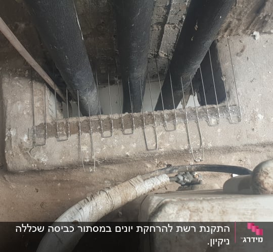 רשת מתכת למניעת כניסת יונים בין צינורות
